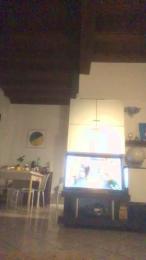 Alex77777777 webcam model stream image