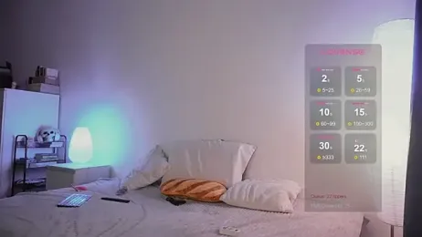 STANOVAYA300KG webcam model stream image