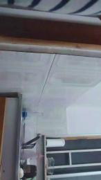 Ccc_199x webcam model stream image