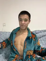 TOYOTA-01 webcam model stream image