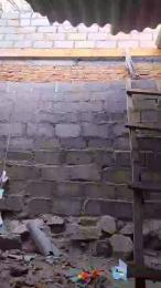 NinphGraceX webcam model stream image