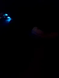 liseliazgin webcam model stream image