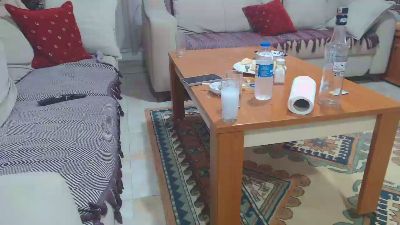 pollen_07 webcam model stream image