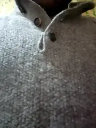 _Danny__ webcam model stream image