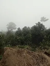 Menlike69 webcam stripchat model stream image