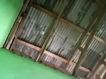 juniordotado87 webcam model stream image