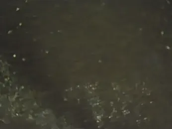 indiboy009 webcam model stream image