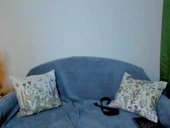 Gaichka webcam model stream image