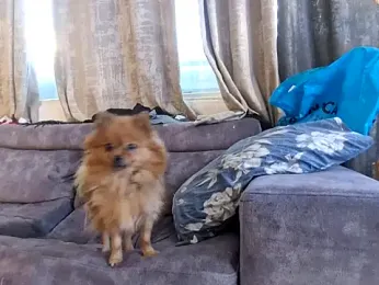 Alexis21821 webcam model stream image