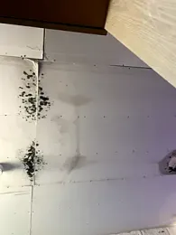 Wuu2now webcam model stream image