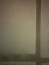 orient_zob webcam model stream image