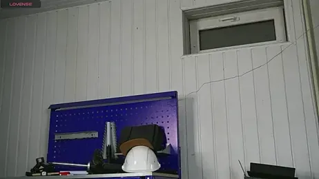 dustyn_fox webcam model stream image