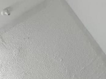 annieandleandro webcam model stream image