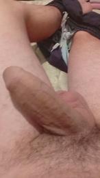 navex321 webcam model stream image