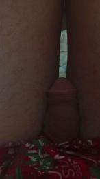 navex321 webcam model stream image