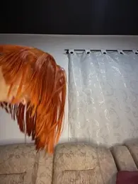 Alysson_LS webcam model stream image