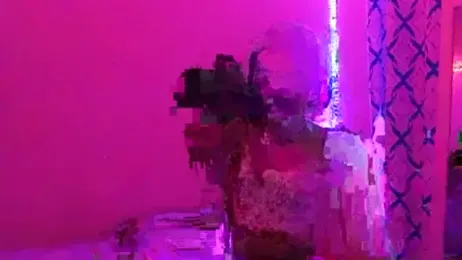 nzanizy webcam stripchat model stream image