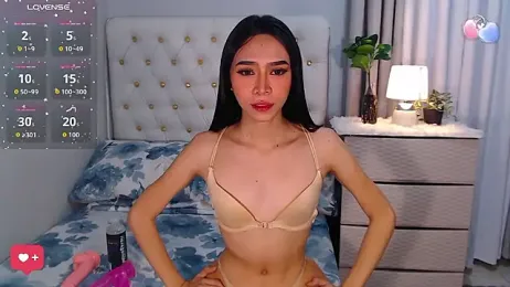 megumishemale_x webcam model stream image