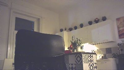 paolokit webcam model stream image