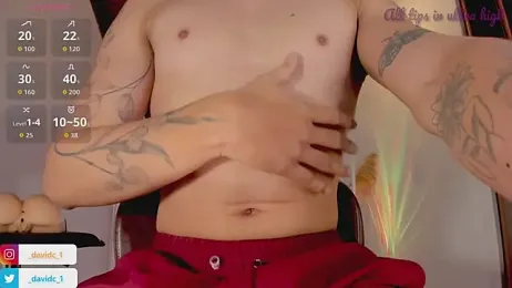 DavidC_ webcam model stream image