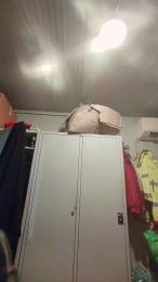 serpens79 webcam model stream image