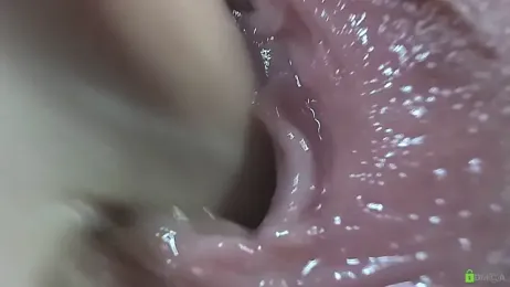 Courtney_Luv webcam model stream image