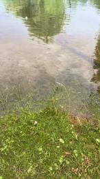 Laoquedad webcam model stream image