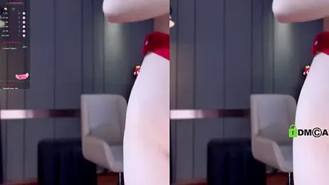 KpKpR webcam model stream image