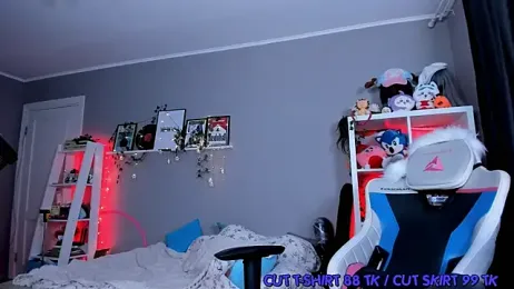 Viv_Player webcam model stream image