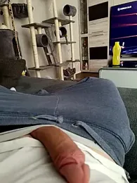 swissdick96 webcam model stream image