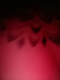 Porcellina181 webcam model stream image