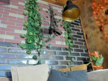 zephyra-angels webcam bongacams model stream image