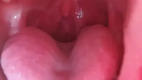 LT-333 webcam model stream image