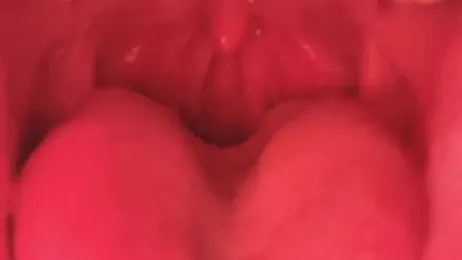 LT-333 webcam model stream image