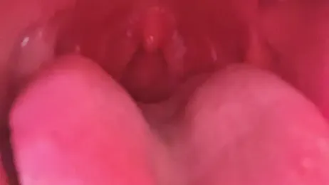 LT-333 webcam model stream image