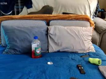 dilldough405 webcam model stream image