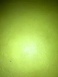 triplebeast webcam model stream image