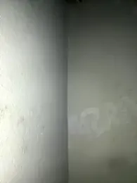 triplebeast webcam model stream image