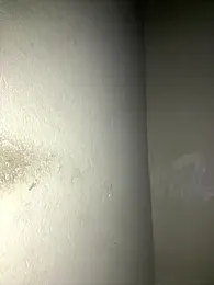 triplebeast webcam model stream image