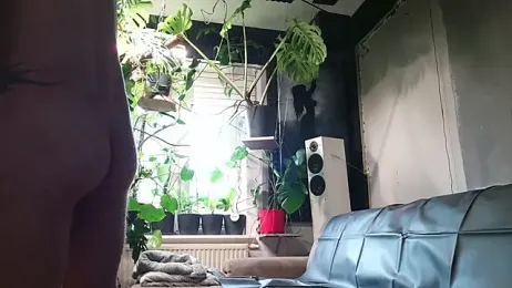 dani4334 webcam model stream image