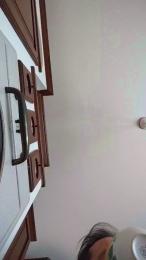 pisellone281 webcam model stream image