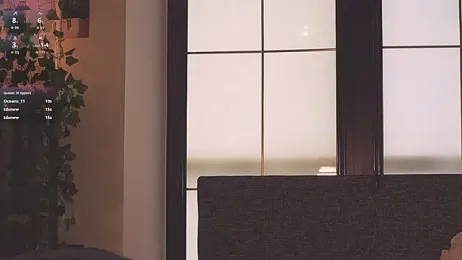 SanySenise webcam model stream image