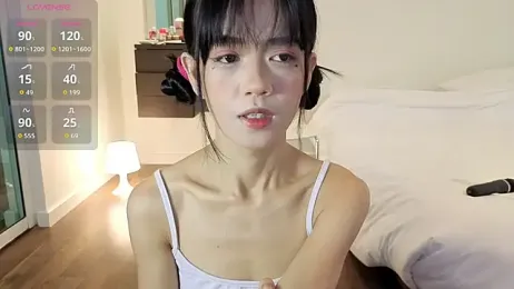 TinyMika webcam model stream image