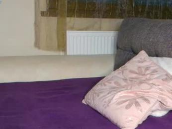 pbsteve webcam model stream image