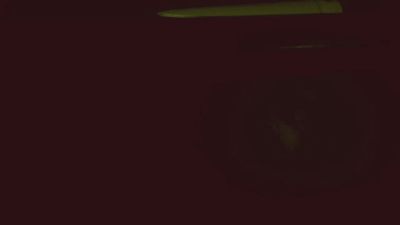 Deepstatement webcam model stream image