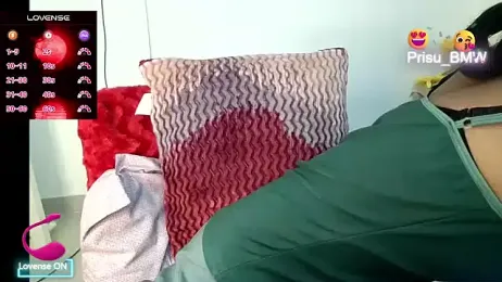 Prisu_BMW webcam model stream image