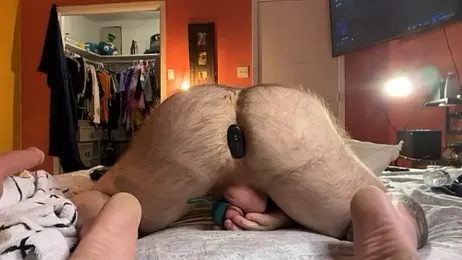 BearChubby300 webcam model stream image