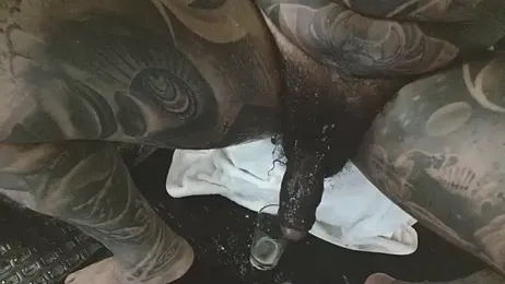 danilog515 webcam model stream image