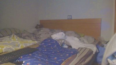 Vers10 webcam model stream image