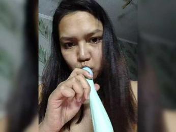 Geritsme webcam model stream image